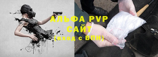индика Верея