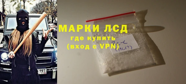 индика Верея