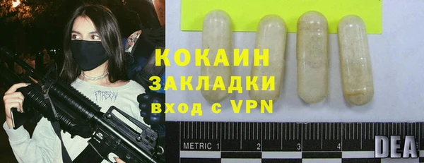 индика Верея