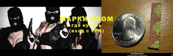 индика Верея