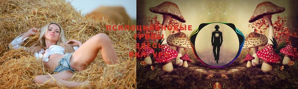 альфа пвп Верхний Тагил