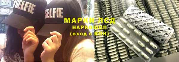 индика Верея