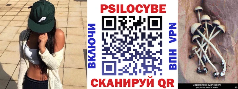 купить наркотики сайты  Инза  Галлюциногенные грибы прущие грибы 